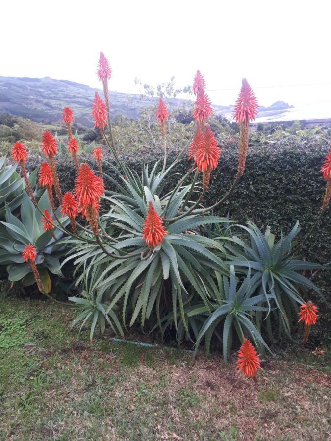 Casa Da Ribeira Bed and Breakfast Lajes do Pico Exterior foto